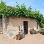 A picture of a small stone building with a grape vine growing across