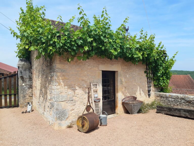 Property A picture of a small stone building with a grape vine growing across